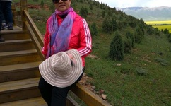 三个媳妇陈淑蓉的扮演者是谁